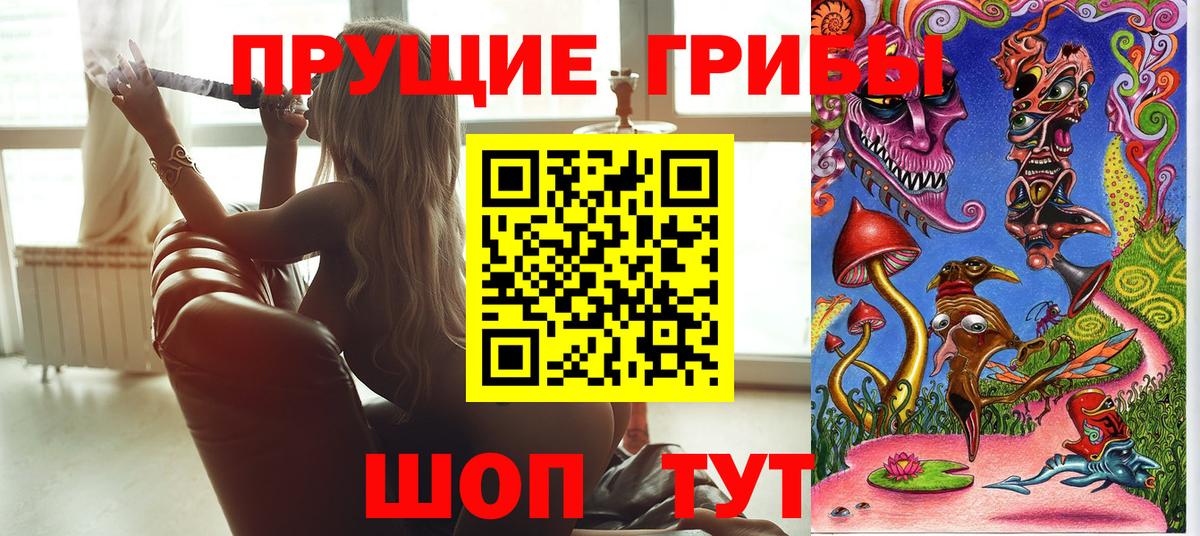 купить наркоту  Псилоцибиновые грибы мицелий  Вход с VPN  Ливны  Галлюциногенные грибы мухоморы 